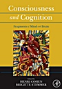 &nbsp;&nbsp;Consciousness and Cognition; Fragments of Mind and Brain - ISBN 9780123737342